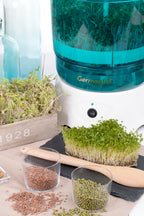 Seed sprouter automatic machine Germoglio